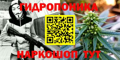 твердый Краснознаменск