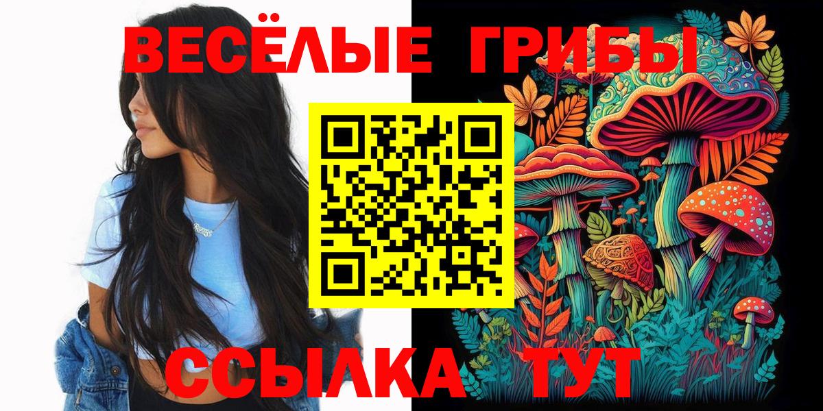 Галлюциногенные грибы мухоморы  Вход с VPN  Егорьевск 