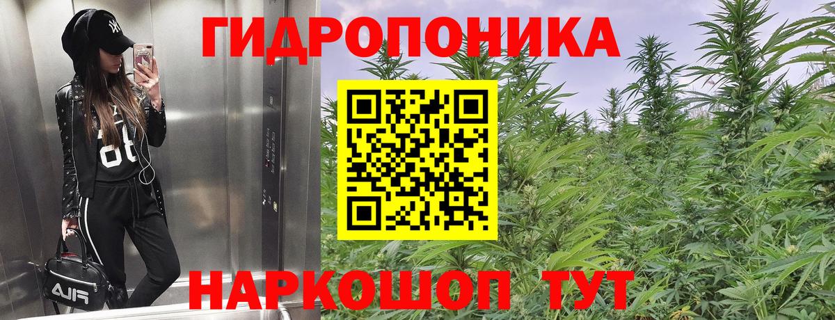 Канабис гибрид  Конопля AK-47  Каннабис THC 21%  Вход с VPN  Егорьевск 